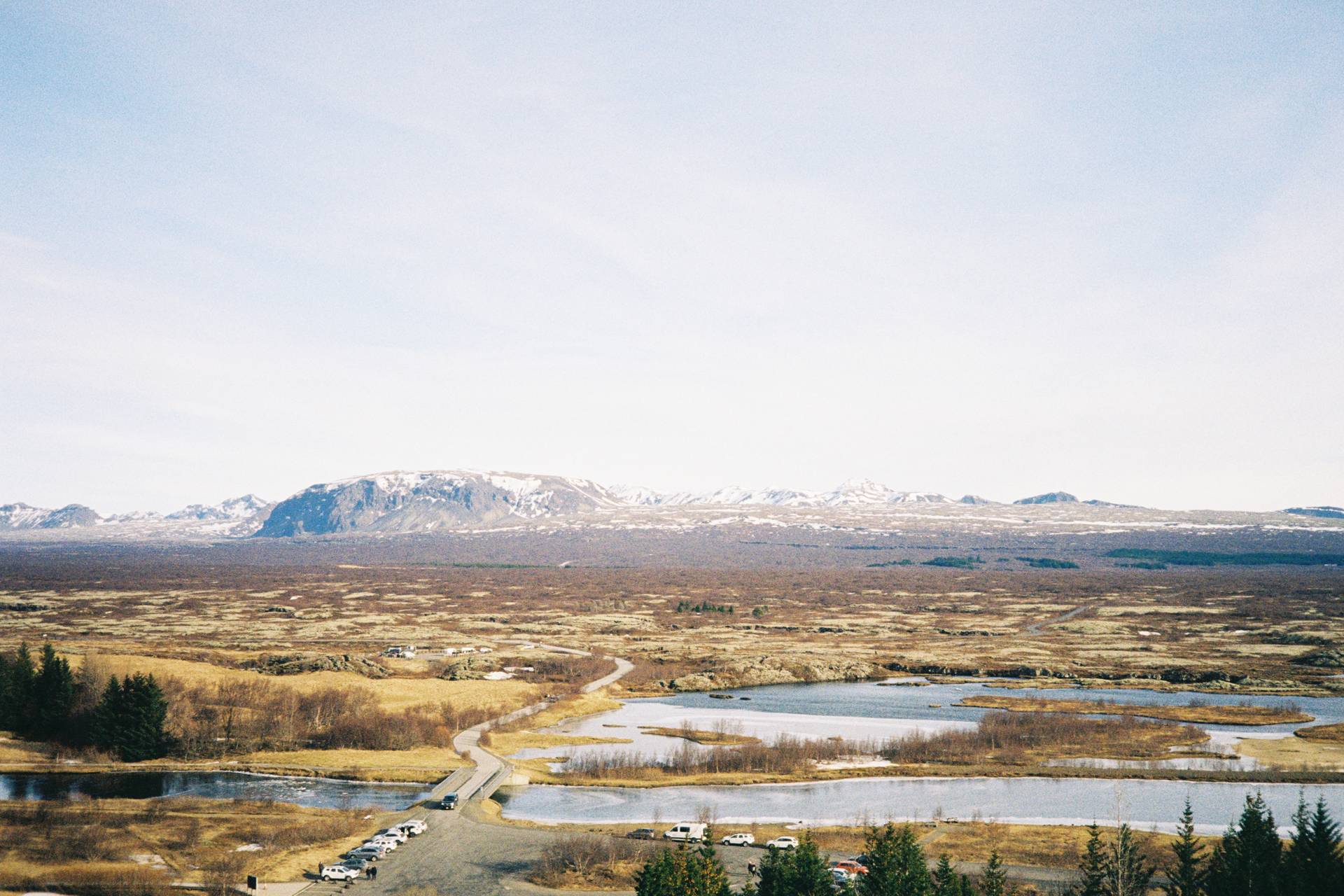 A landscape photograph cover of lava fields overgrown with moss, with mountains in the background