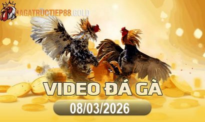 img video da ga cpc4 1773014713