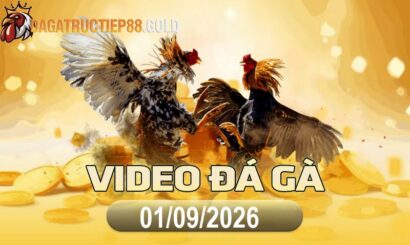 img video da ga cpc4 1788307204